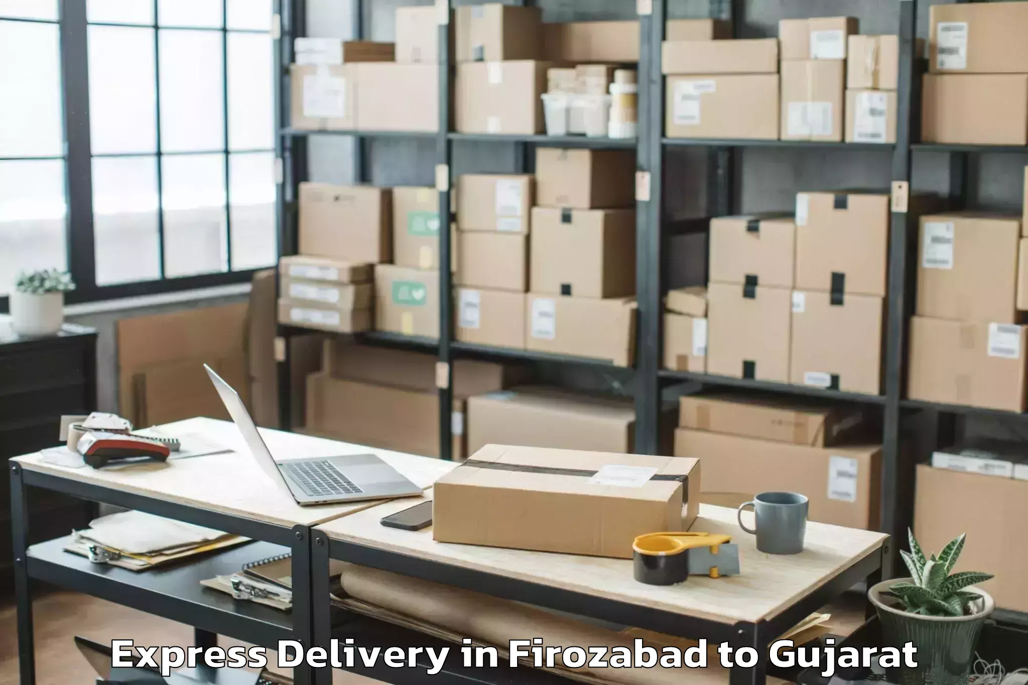 Easy Firozabad to Gidc Express Delivery Booking